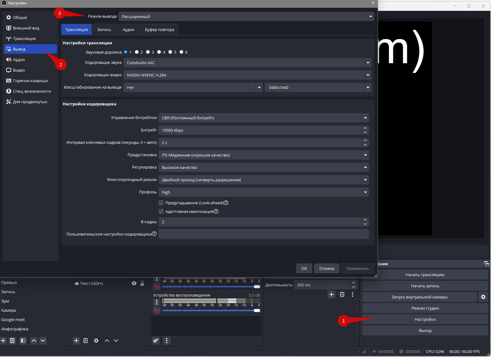 Advanced output mode and Streaming tab in OBS; Russian interface